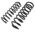 6187 by MOOG - Coil Spring Set