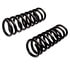 6490 by MOOG - Coil Spring Set