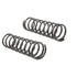 80099 by MOOG - Coil Spring Set