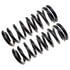 80910 by MOOG - Coil Spring Set