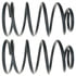 81038 by MOOG - Coil Spring Set