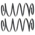 81040 by MOOG - MOOG 81040 Coil Spring Set