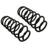 81041 by MOOG - Coil Spring Set