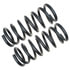 81091 by MOOG - MOOG 81091 Coil Spring Set