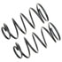 81122 by MOOG - Coil Spring Set