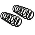 81134 by MOOG - Coil Spring Set