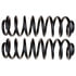 81149 by MOOG - MOOG 81149 Coil Spring Set