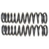 81202 by MOOG - Coil Spring Set