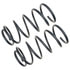 81234 by MOOG - MOOG 81234 Coil Spring Set