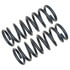 81240 by MOOG - Coil Spring Set