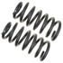 81248 by MOOG - Coil Spring Set