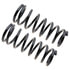 81320 by MOOG - Coil Spring Set