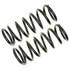 81407 by MOOG - Coil Spring Set