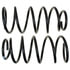 81416 by MOOG - Coil Spring Set