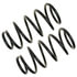 81422 by MOOG - Coil Spring Set