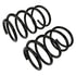 81506 by MOOG - MOOG 81506 Coil Spring Set for Nissan Murano