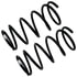 81621 by MOOG - Coil Spring Set