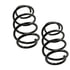 81624 by MOOG - Coil Spring Set