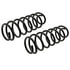 81673 by MOOG - Coil Spring Set