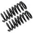 81684 by MOOG - Coil Spring Set