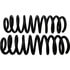 81734 by MOOG - Coil Spring Set