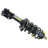 ST8519 by MOOG - Suspension Strut and Coil Spring Assembly