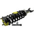 ST8603 by MOOG - Suspension Strut and Coil Spring Assembly