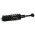 ST8608L by MOOG - Suspension Strut and Coil Spring Assembly