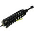 ST8608L by MOOG - Suspension Strut and Coil Spring Assembly