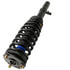 ST8687 by MOOG - Suspension Strut and Coil Spring Assembly