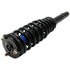 ST8688 by MOOG - Suspension Strut and Coil Spring Assembly
