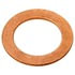 Raybestos G1243 Banjo Washer Raybestos R-Line Banjo Bolt Washer