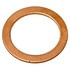 Raybestos G1246 Banjo Washer Raybestos R-Line Banjo Bolt Washer