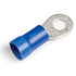 Grote 842909 Ring Terminal Ring Terminal, 6 Ga, 1/2", Pk 25