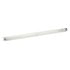 Grote 92681 FWRD LTG, CLEAR, REP