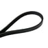Continental AG 4030355 Serpentine Belt Automotive Multi-V Belt