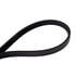 4040329S by CONTINENTAL AG - Automotive Multi-V Stretch Belt