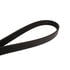 Continental AG 4061120 Serpentine Belt Automotive Multi-V Belt