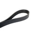 Continental AG 4080790 Serpentine Belt Automotive Multi-V Belt