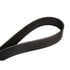Continental AG 4120976 Serpentine Belt Automotive Multi-V Belt