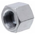 Gates G64097-0016 Hydraulic Coupling / Adapter Female British Standard Pipe Parallel Cap (International to International)