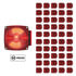 31131P50 by UNITED PACIFIC - Trailer Light - 50 Pieces, Right Side, Under 80" Wide Combination, without License Light