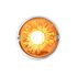 35028 by UNITED PACIFIC - Marker Light - (4) Amber LED, Amber Lens, Stainless Steel Bezel, Watermelon Style