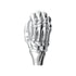 70782B by UNITED PACIFIC - Gearshift Knob - Skull, 1/2"-13, Thread-on, Chrome, Aluminum