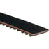 Gates T311 Serpentine Belt T331