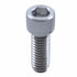 70189 by UNITED PACIFIC - Screw Cap - Chrome, Plastic Socket Head, for 3/8" Screw