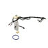 Delphi FG0019 Fuel Pump Module Assembly Fuel Pump Module Assembly