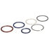 HTK124 by DELPHI - Fuel Injection Nozzle O-Ring Kit