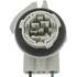S2631 by STANDARD IGNITION - Multi Function Socket