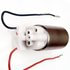 FE0181 by DELPHI - Electric Fuel Pump